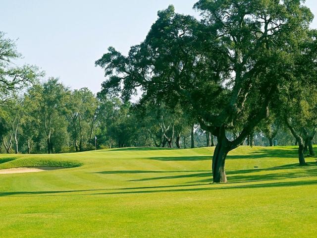 Quinta da Barca Photo 0